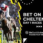 cheltenham best bet
